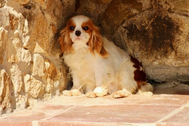 VROUM de la Bastide du Jas de Jeromes